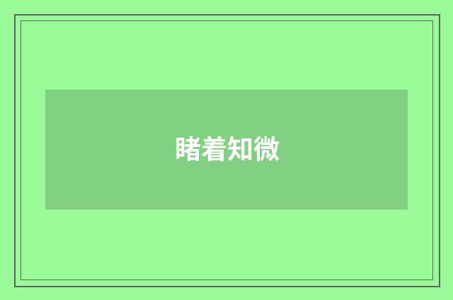 睹着知微