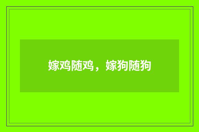 嫁鸡随鸡,嫁狗随狗
