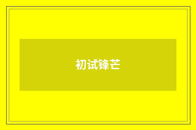 初试锋芒