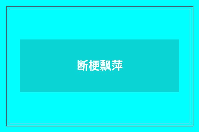 断梗飘萍