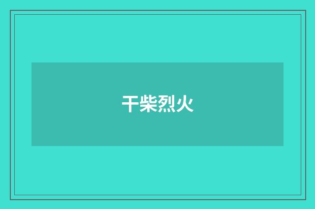 干柴烈火