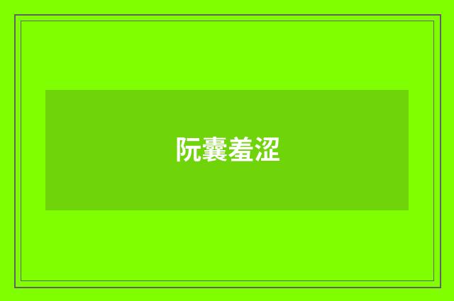 阮囊羞涩