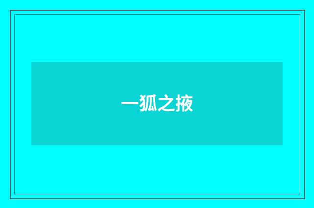 一狐之掖