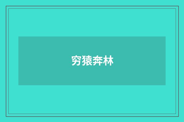 穷猿奔林