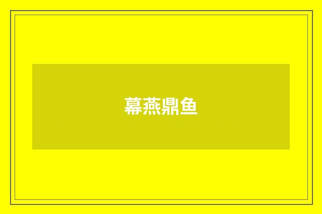 幕燕鼎鱼
