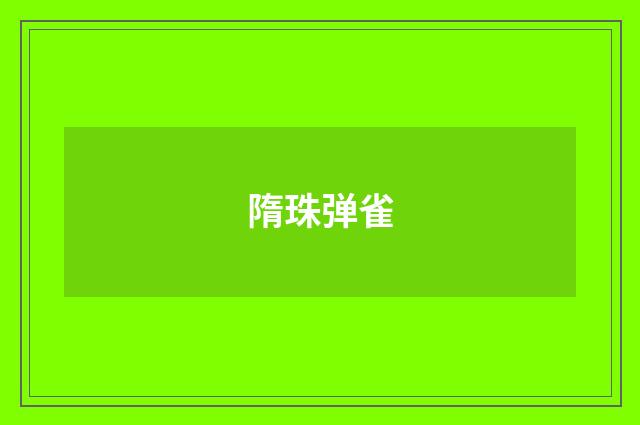 隋珠弹雀