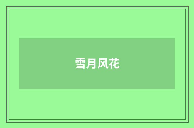 雪月风花