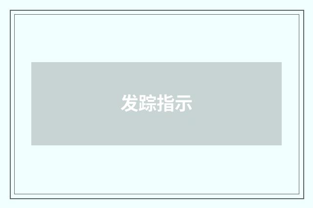发踪指示