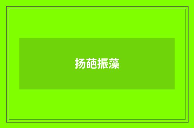 扬葩振藻