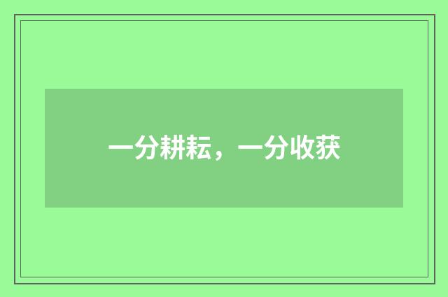 一分耕耘，一分收获