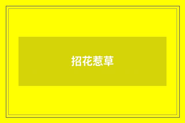 招花惹草