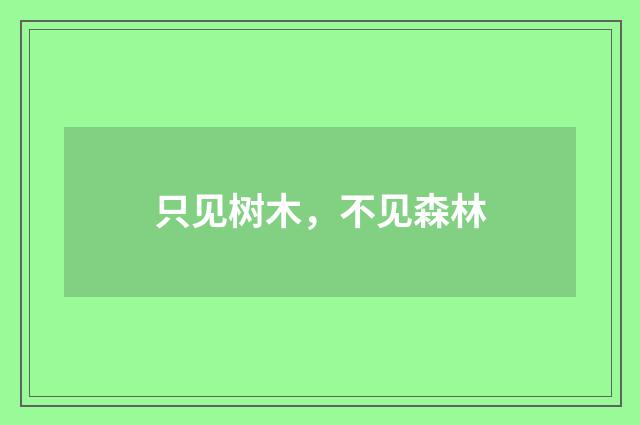 只见树木，不见森林