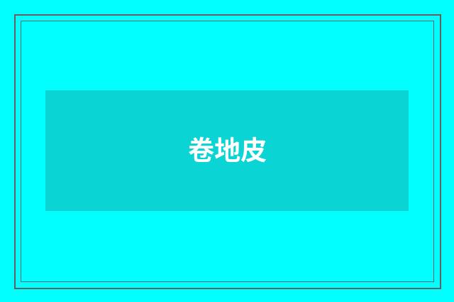 卷地皮
