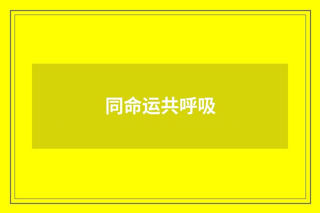 同命运共呼吸