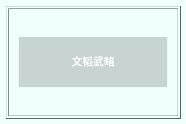 文韬武略