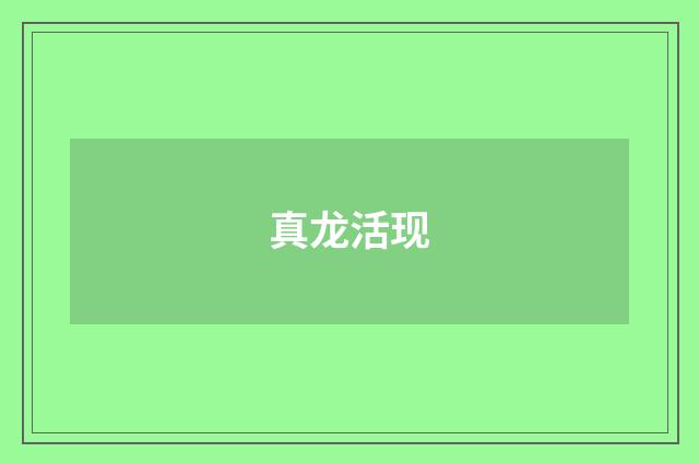 真龙活现