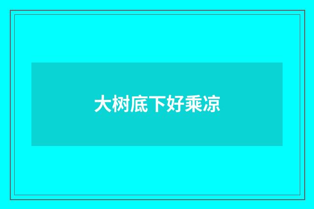 大树底下好乘凉