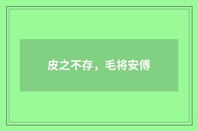 皮之不存，毛将安傅