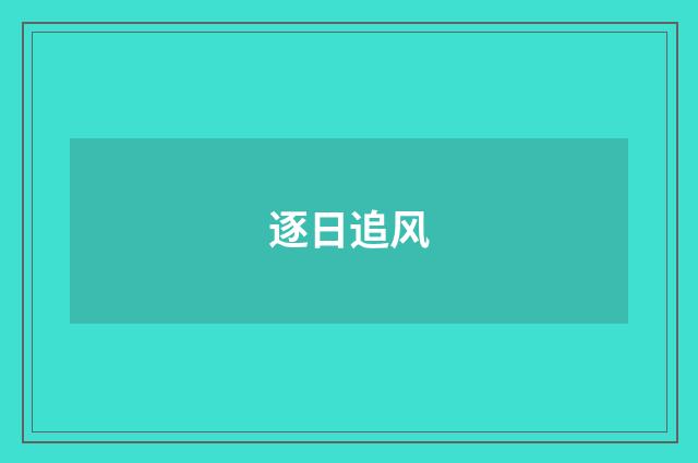 逐日追风