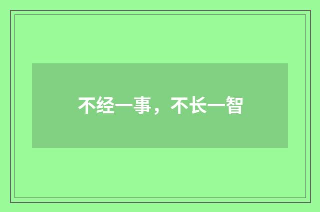 不经一事，不长一智