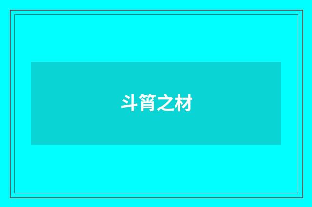 斗筲之材