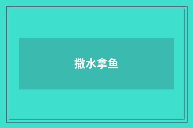 撒水拿鱼