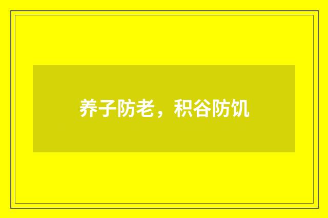 养子防老，积谷防饥