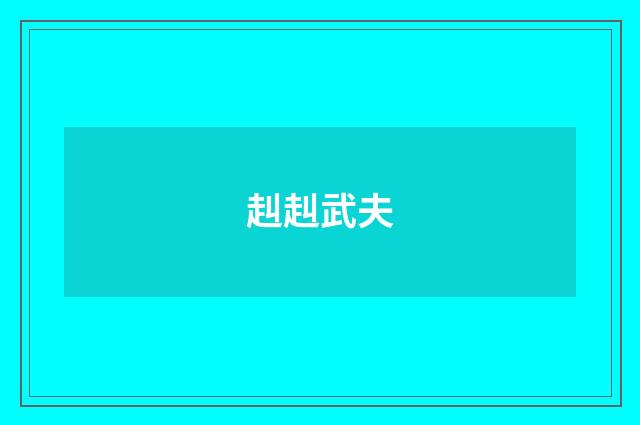 赳赳武夫