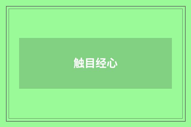 触目经心