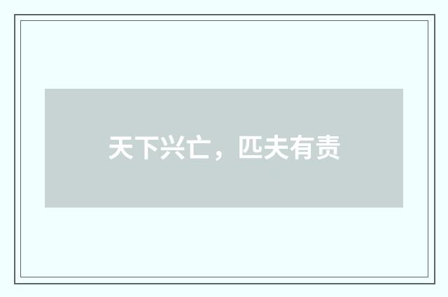天下兴亡，匹夫有责