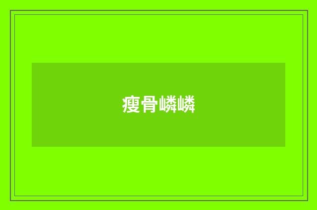 瘦骨嶙嶙