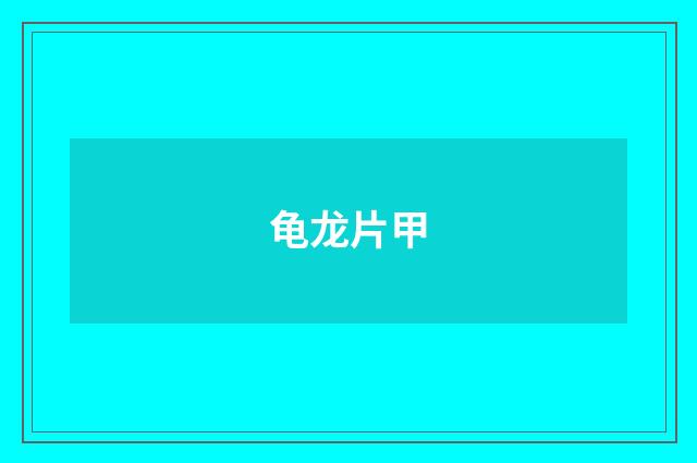 龟龙片甲