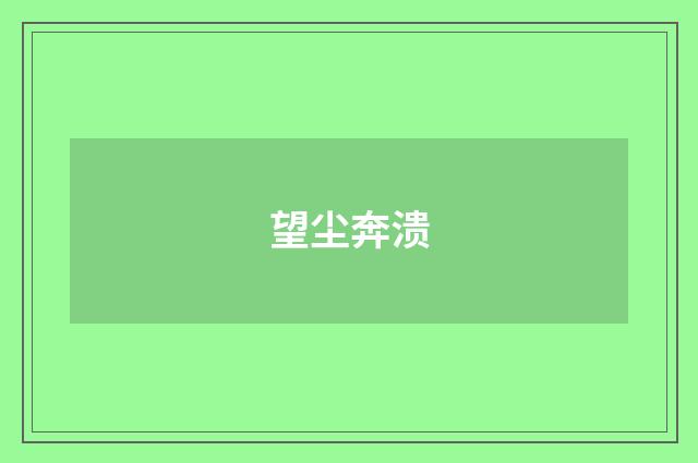 望尘奔溃