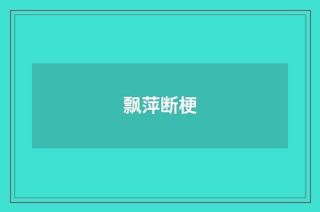 飘萍断梗