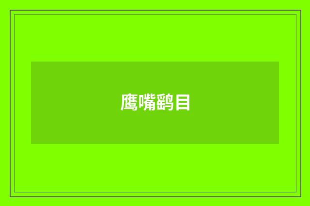 鹰嘴鹞目