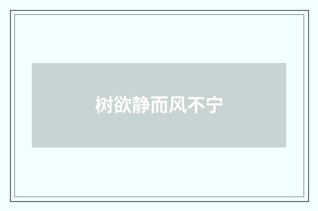 树欲静而风不宁