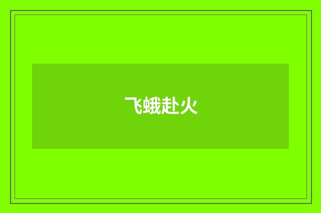 飞蛾赴火