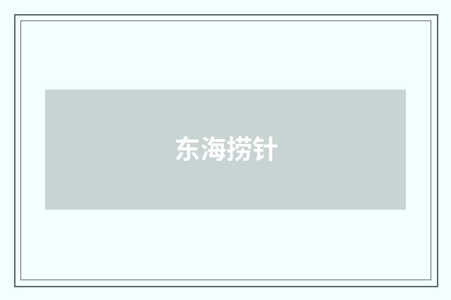 东海捞针