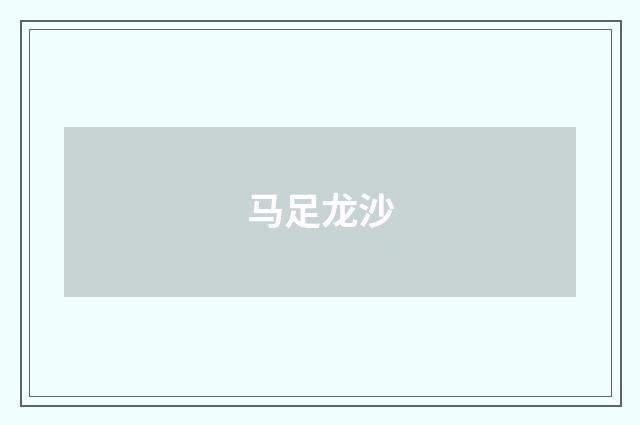 马足龙沙