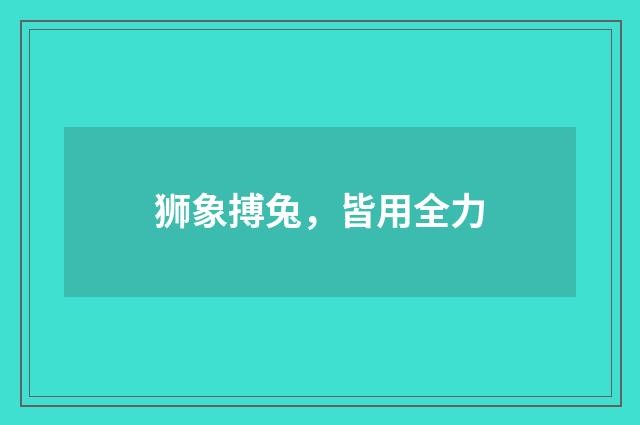 狮象搏兔，皆用全力