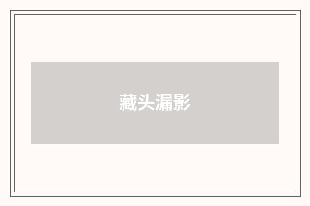 藏头漏影