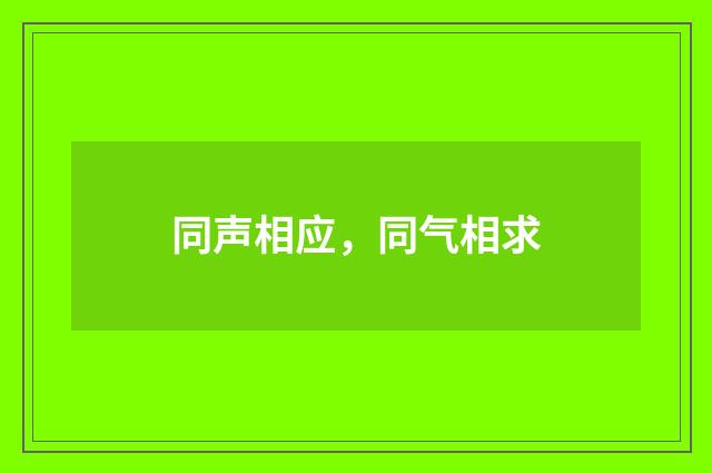 同声相应，同气相求