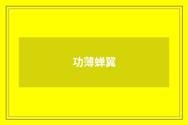 功薄蝉翼