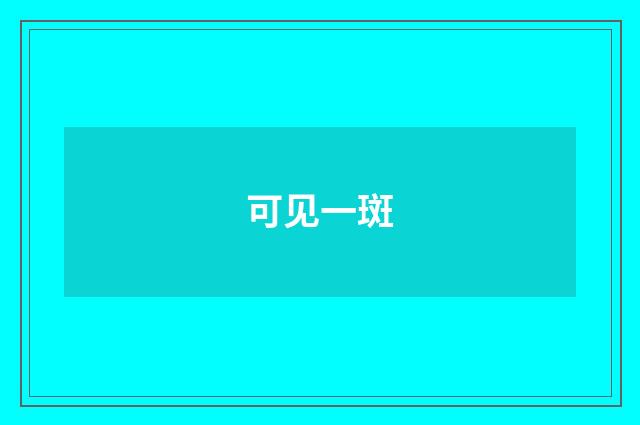 可见一斑
