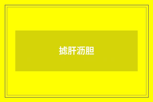 摅肝沥胆