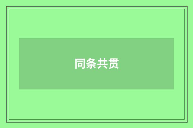 同条共贯