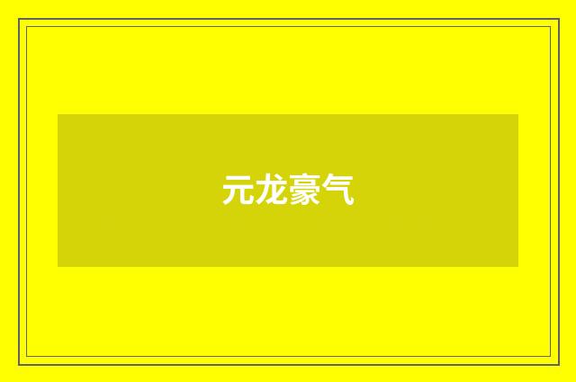 元龙豪气