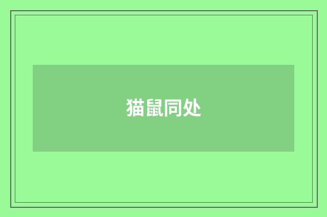 猫鼠同处