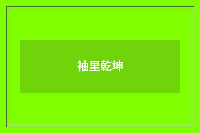 袖里乾坤