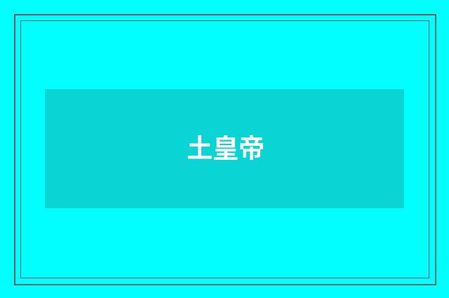 土皇帝